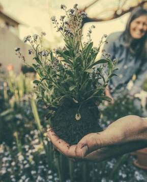 Kabar Gembira Untuk yang Hobi Berkebun