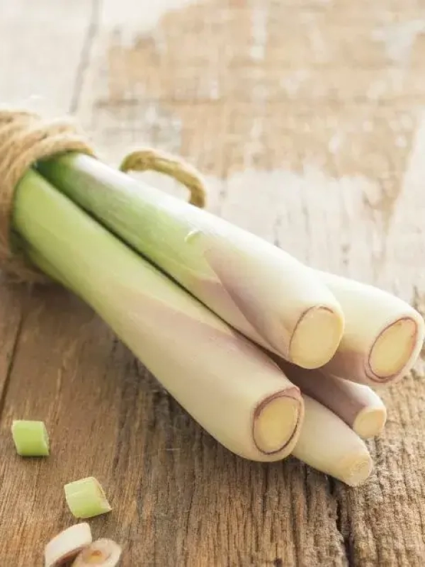 Manfaat Mandi Air Serai untuk Kesehatan Kulit