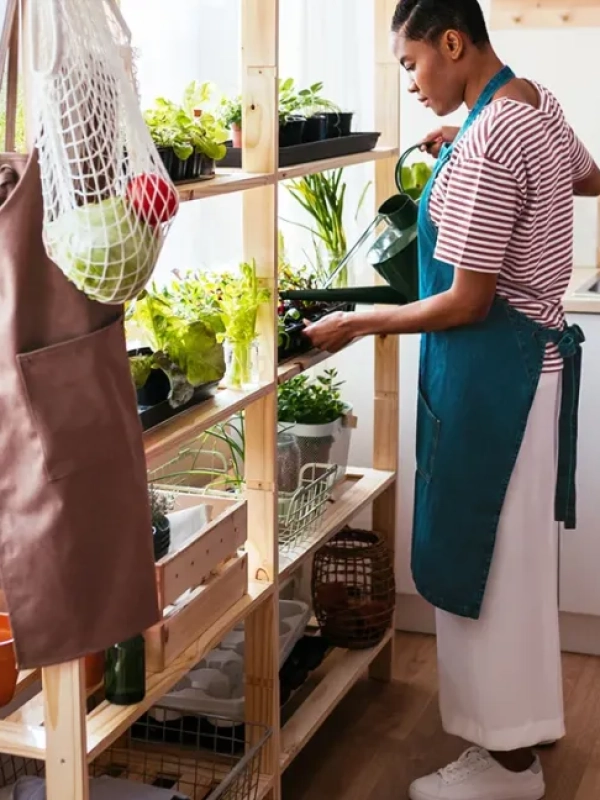 Langkah Mudah Membuat Kebun Sayuran di Dalam Rumah